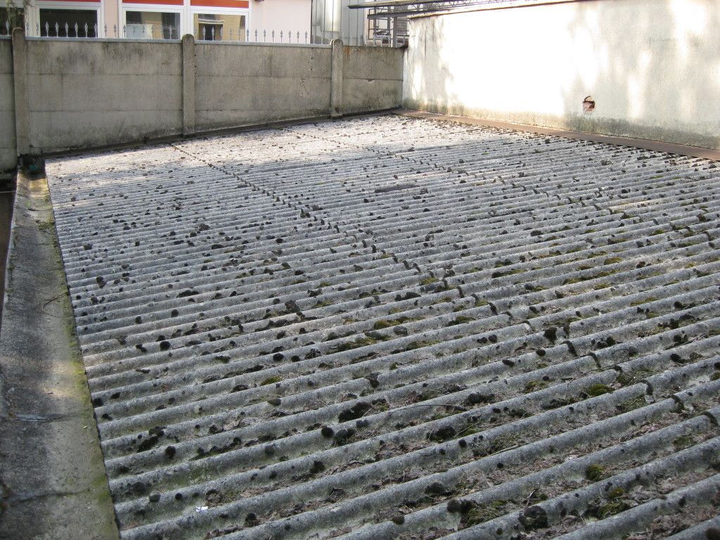 Tripodi Paolo Giovanni - Amianto